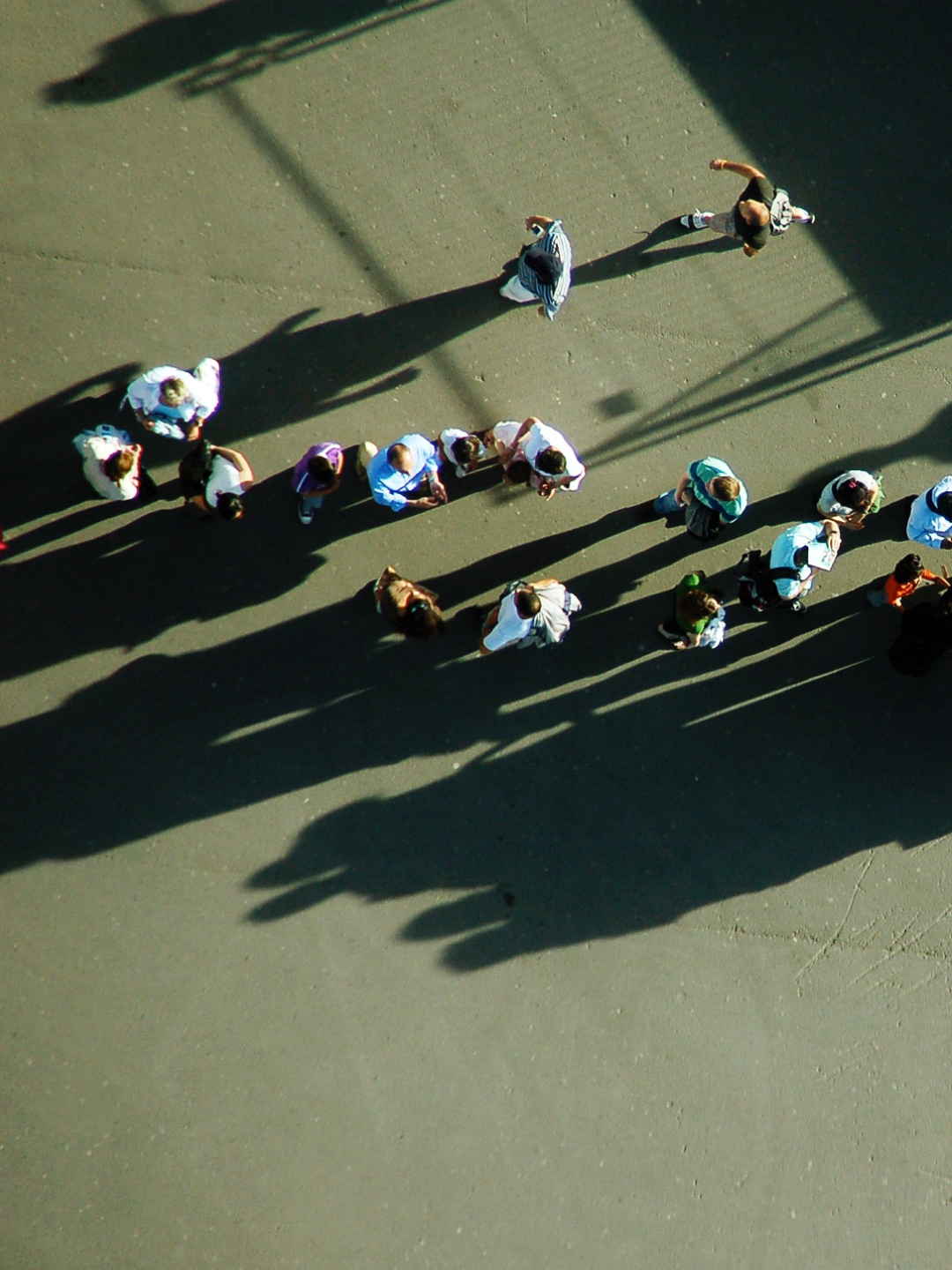 The Lollapalooza Effect DecisionMaking in the Real World Trinity